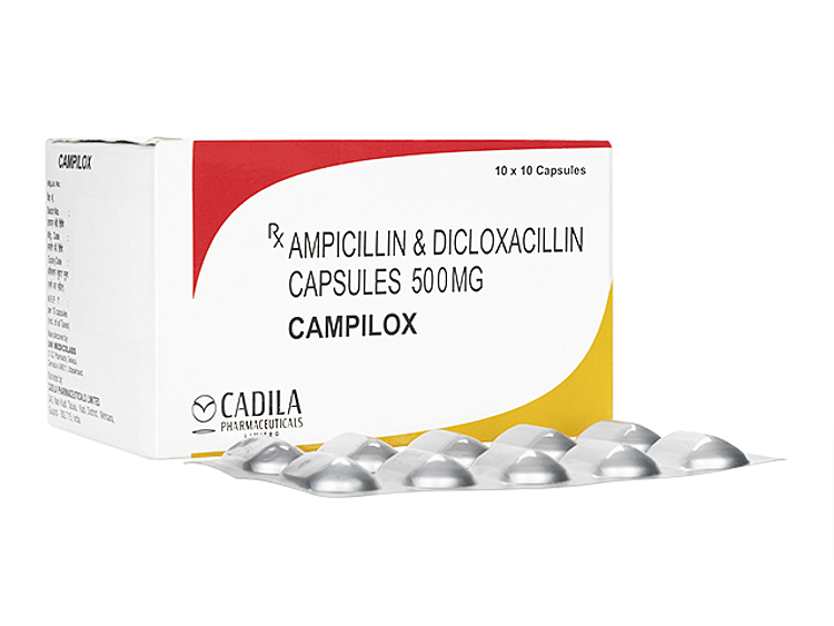 �R���r�y�j�b�N�X�W�F�l���b�N�iDicloxacillin�j